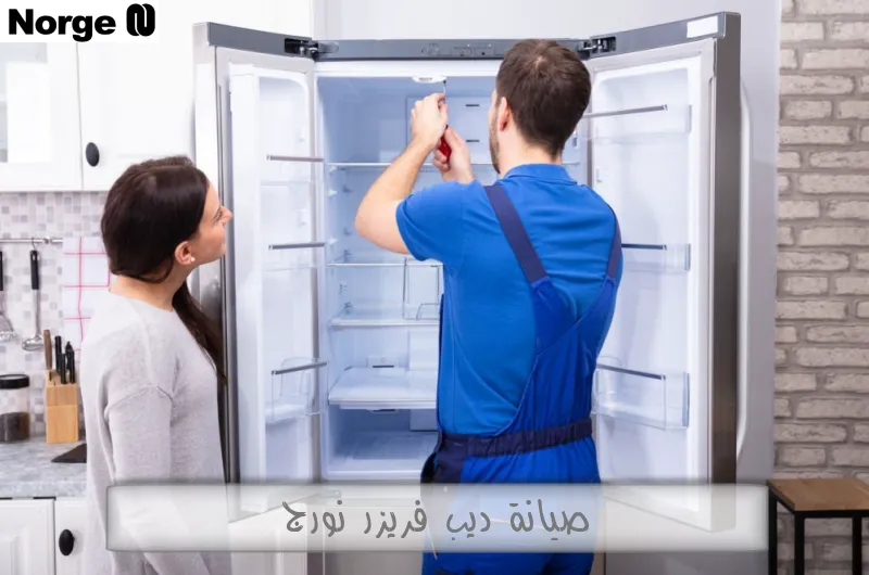 صيانة ديب فريزر نورج