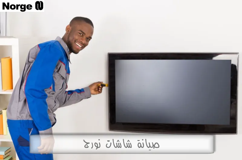 صيانة شاشات نورج
